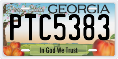 GA license plate PTC5383