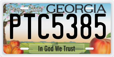 GA license plate PTC5385