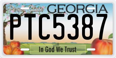 GA license plate PTC5387