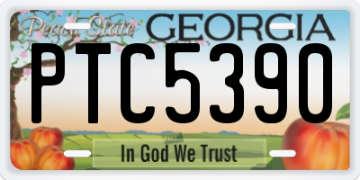 GA license plate PTC5390