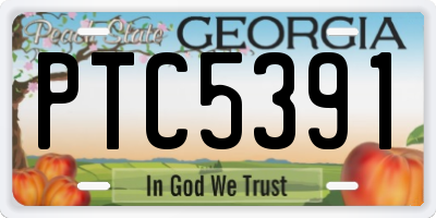 GA license plate PTC5391