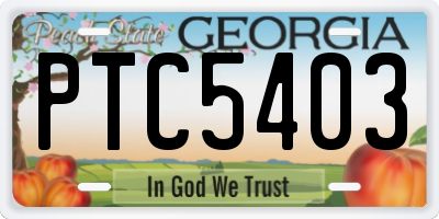 GA license plate PTC5403