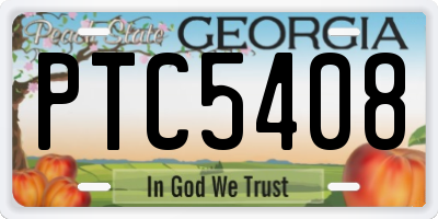 GA license plate PTC5408