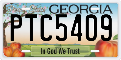 GA license plate PTC5409