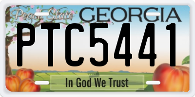 GA license plate PTC5441