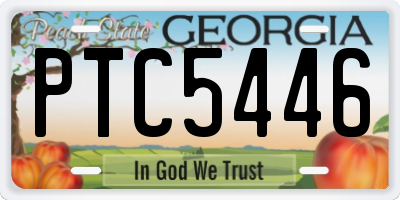 GA license plate PTC5446