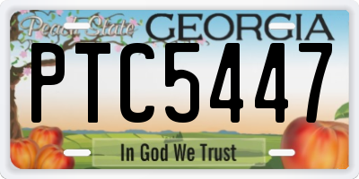 GA license plate PTC5447