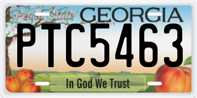 GA license plate PTC5463