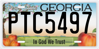 GA license plate PTC5497