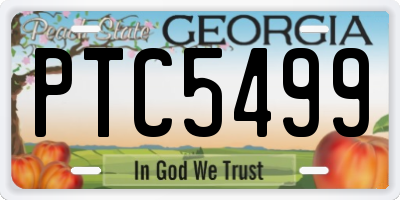 GA license plate PTC5499