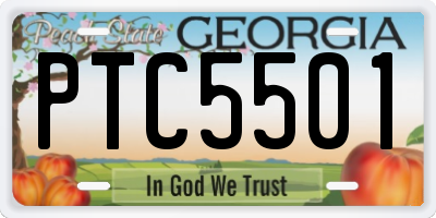 GA license plate PTC5501