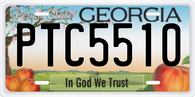GA license plate PTC5510