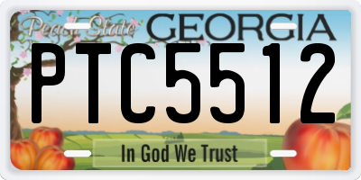 GA license plate PTC5512