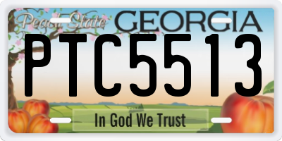 GA license plate PTC5513