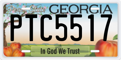 GA license plate PTC5517