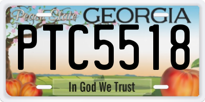GA license plate PTC5518