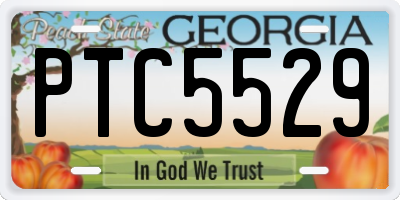 GA license plate PTC5529