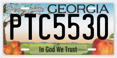 GA license plate PTC5530