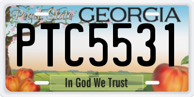 GA license plate PTC5531