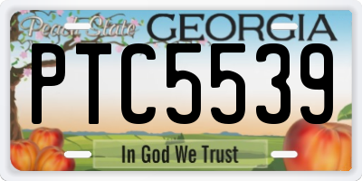 GA license plate PTC5539