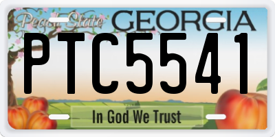 GA license plate PTC5541