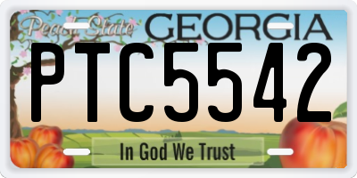 GA license plate PTC5542