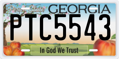 GA license plate PTC5543