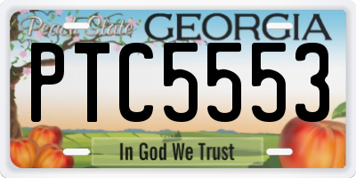 GA license plate PTC5553