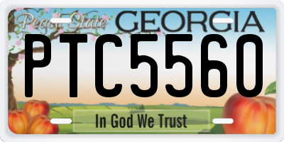 GA license plate PTC5560
