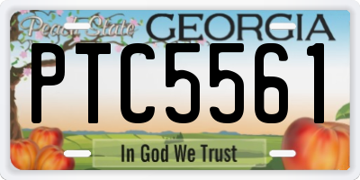 GA license plate PTC5561