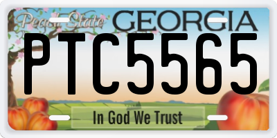 GA license plate PTC5565