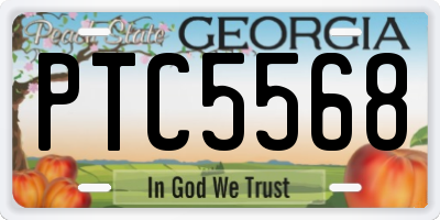 GA license plate PTC5568