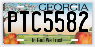 GA license plate PTC5582