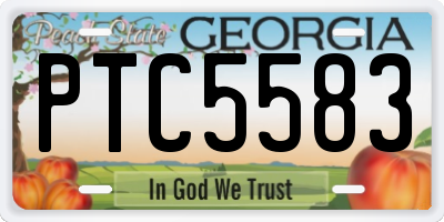 GA license plate PTC5583