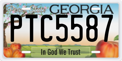 GA license plate PTC5587