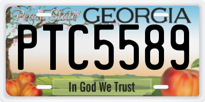 GA license plate PTC5589