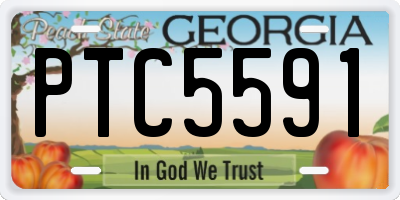 GA license plate PTC5591