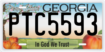 GA license plate PTC5593