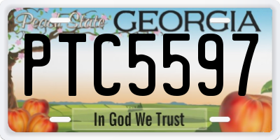 GA license plate PTC5597