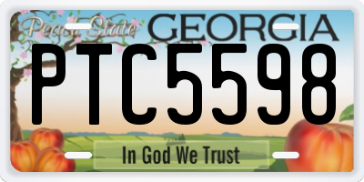 GA license plate PTC5598