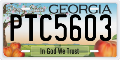 GA license plate PTC5603