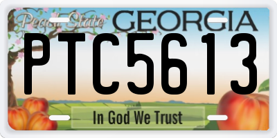 GA license plate PTC5613