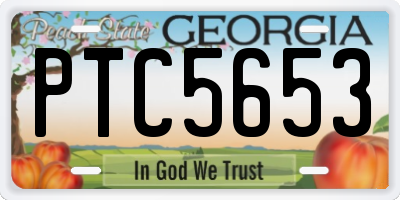 GA license plate PTC5653