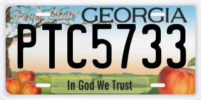GA license plate PTC5733