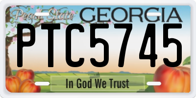 GA license plate PTC5745
