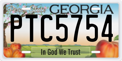 GA license plate PTC5754