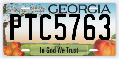 GA license plate PTC5763