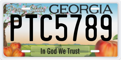 GA license plate PTC5789