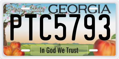 GA license plate PTC5793