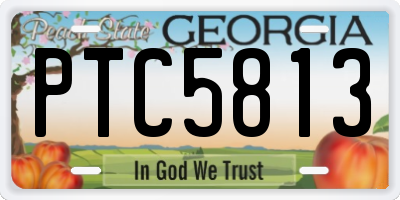 GA license plate PTC5813